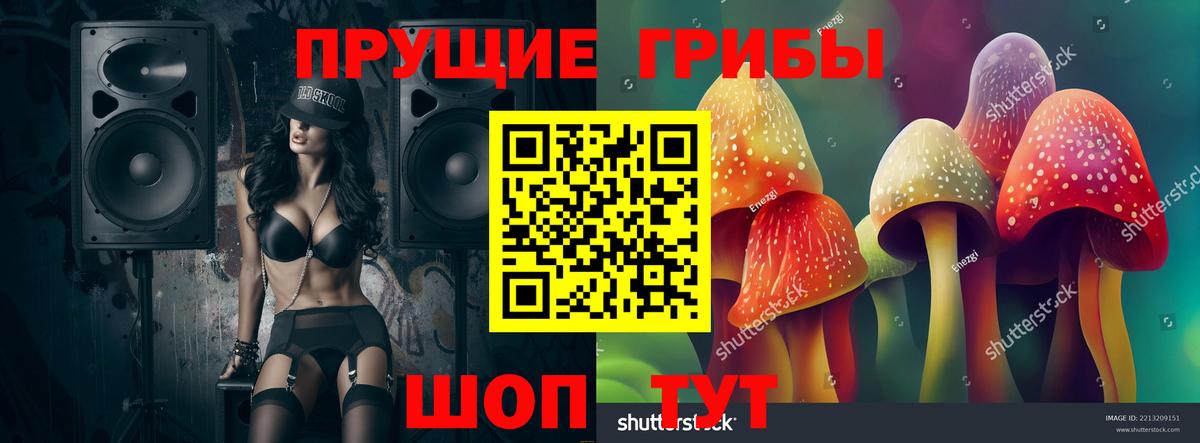 Псилоцибиновые грибы MAGIC MUSHROOMS  Вход с VPN  Саяногорск 